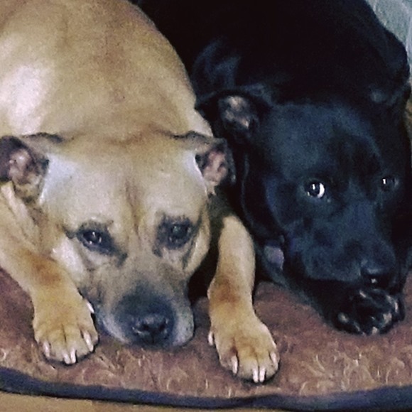 Meet your Posher, Joanne - Picture 1 of 1